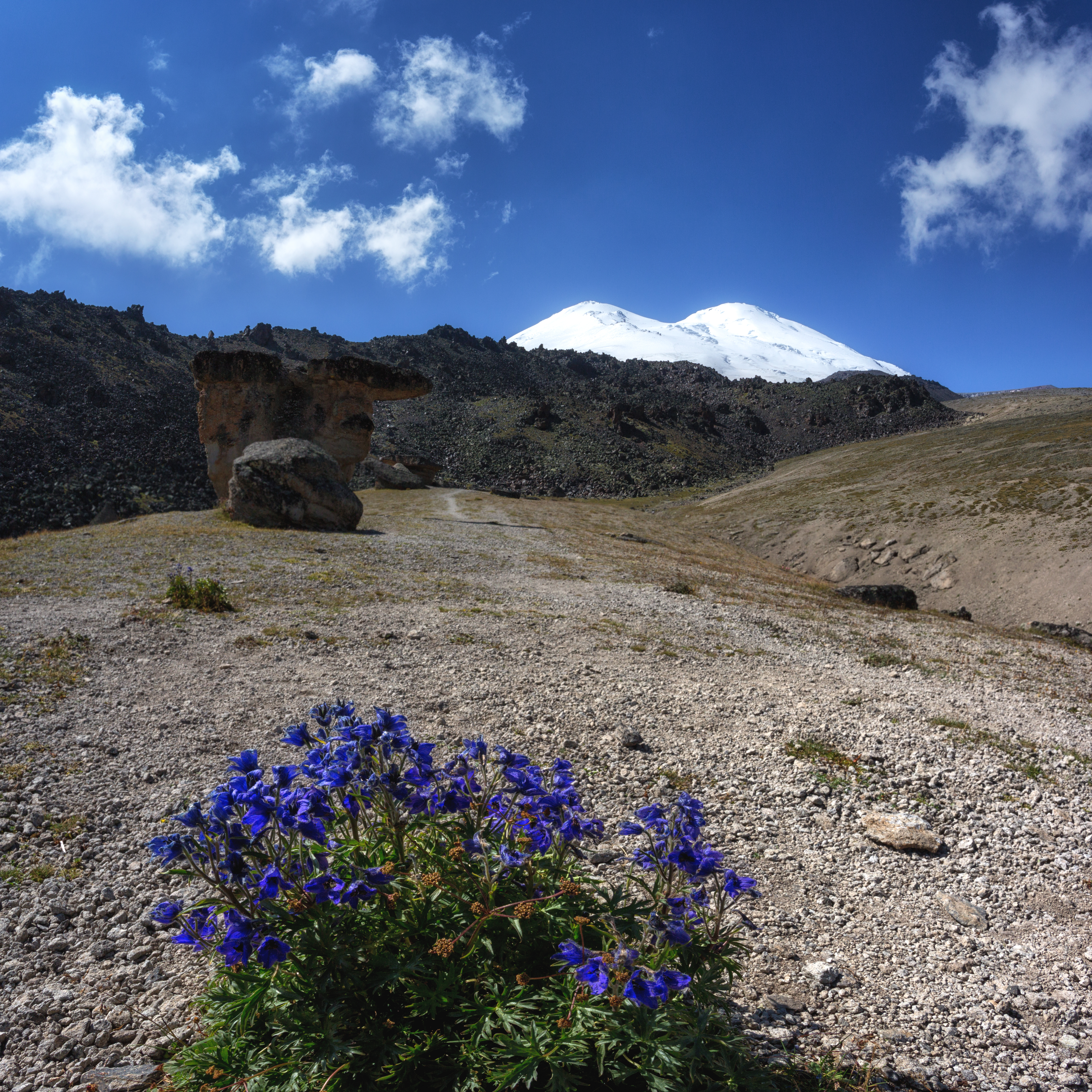 C93B5244-Pano-Edit