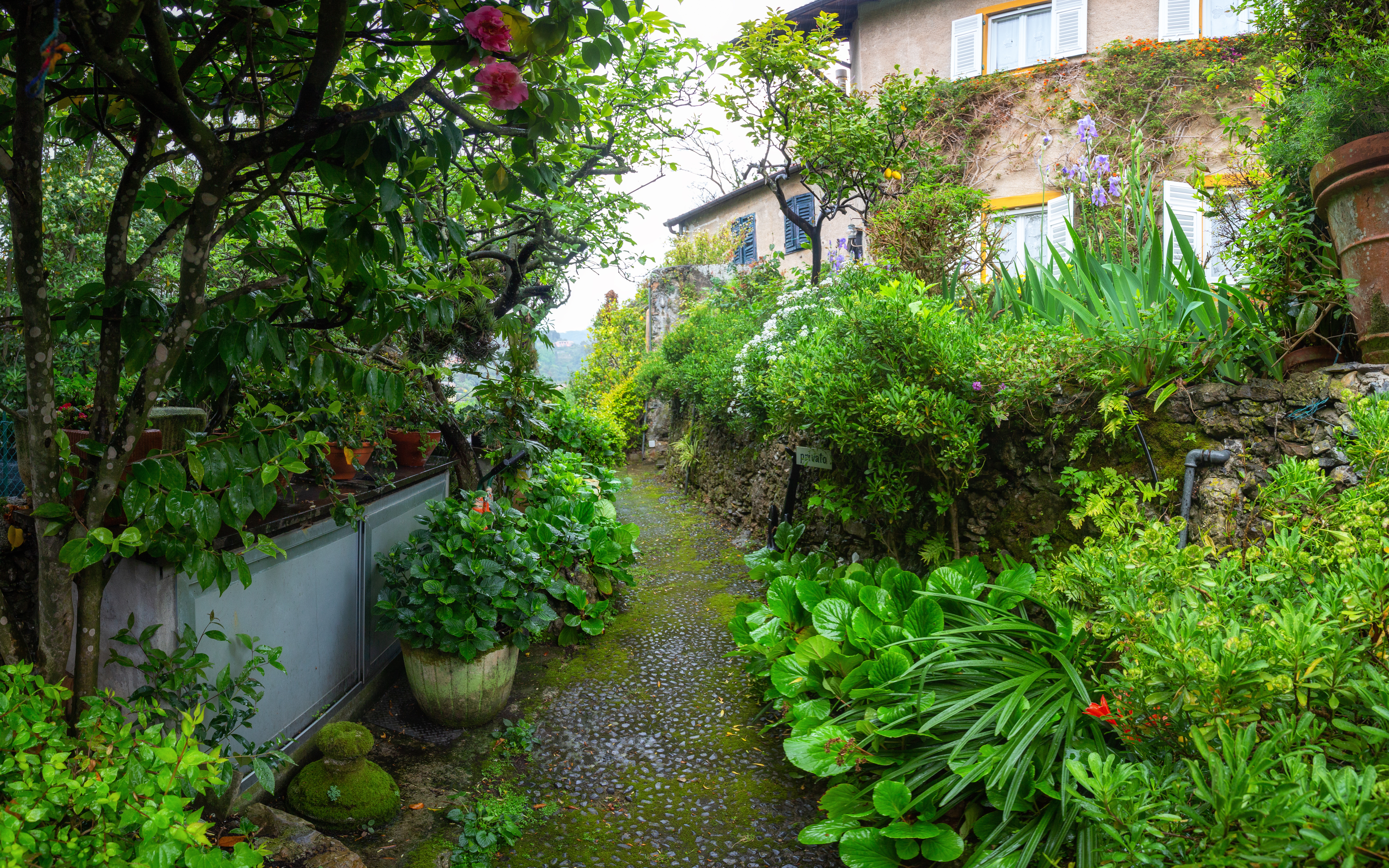 C93B2630-Pano-Edit