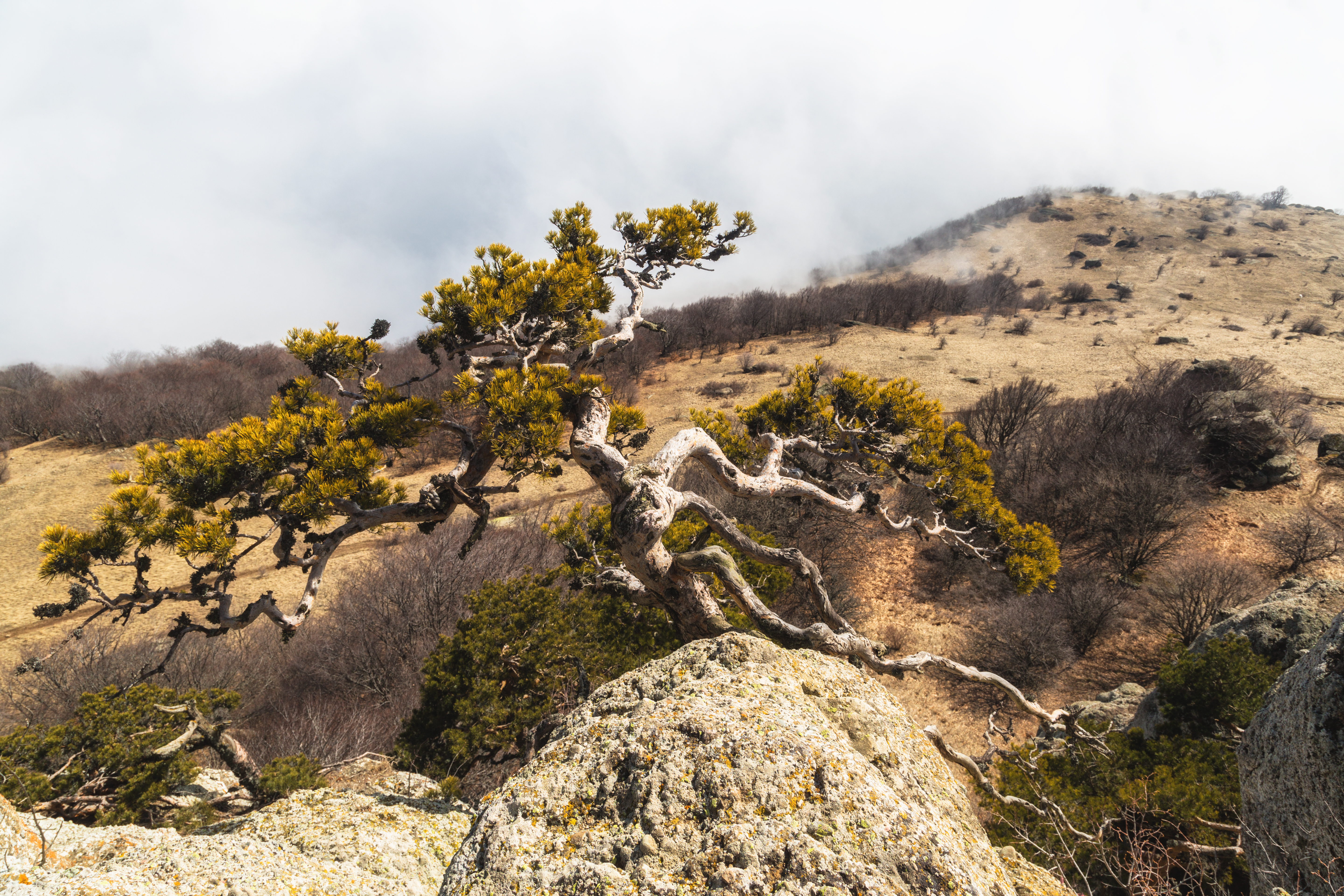 C93B7549-Edit