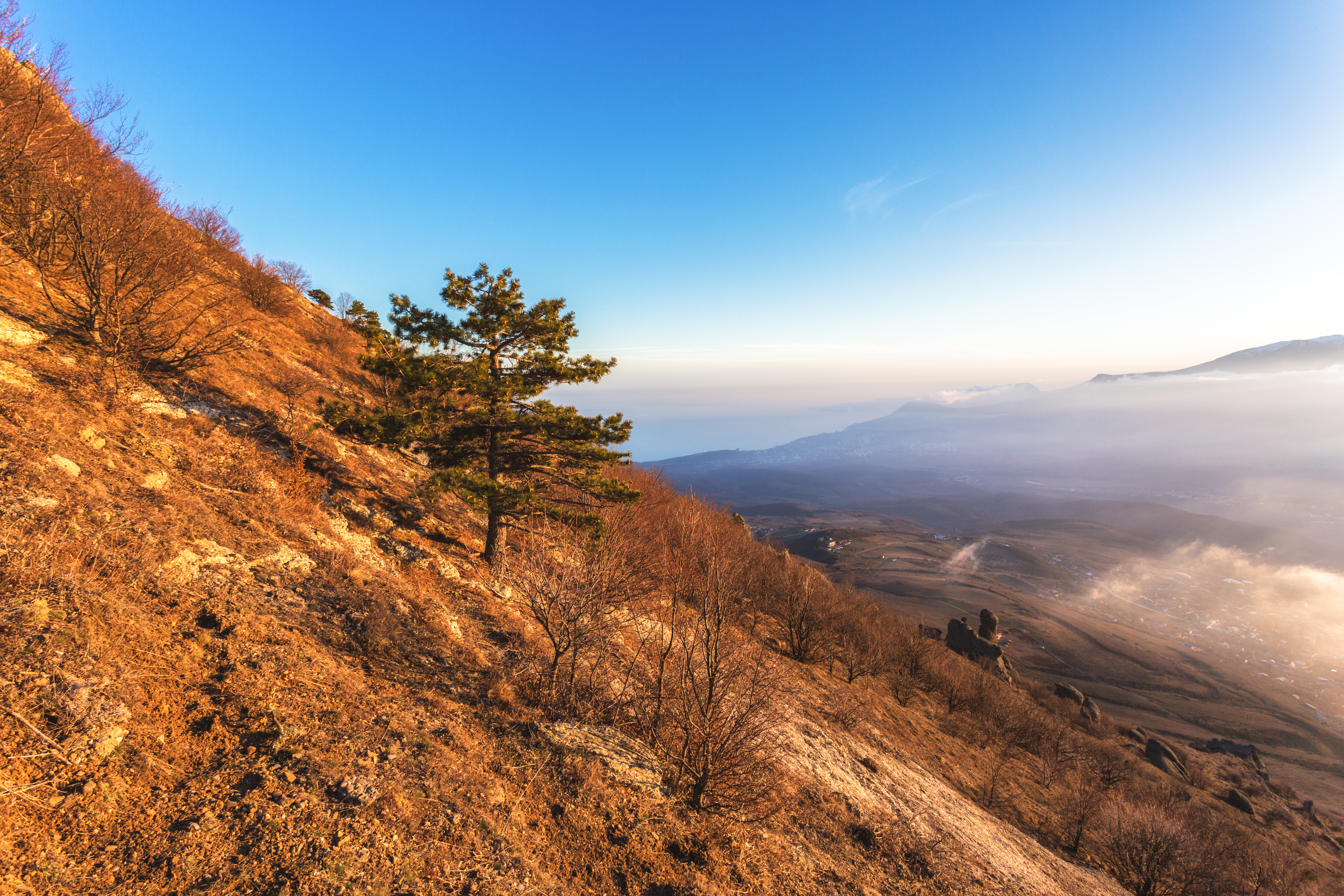 C93B7599-Edit
